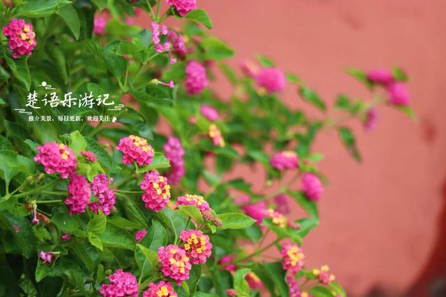 宁波东钱湖畔的清秀小山，丛林秘境中藏着徒步胜地，周边风景更美