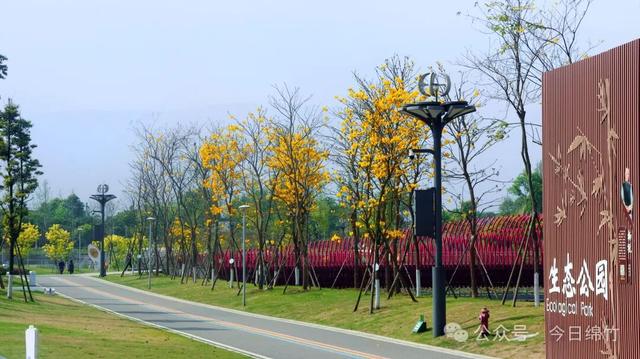 绵竹这里太美了！适合遛娃、运动、拍照，还有风铃木花海......