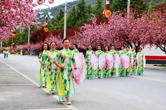 两当：一城繁花绘春色