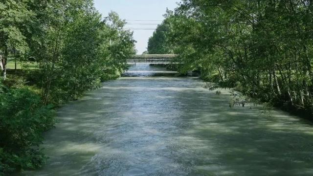 秋假遛娃指南!郫都这些宝藏公园,承包亲子惬意时光