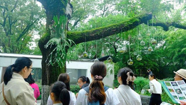 国庆假期宁波咋玩？首批景区活动“剧透”来了！
