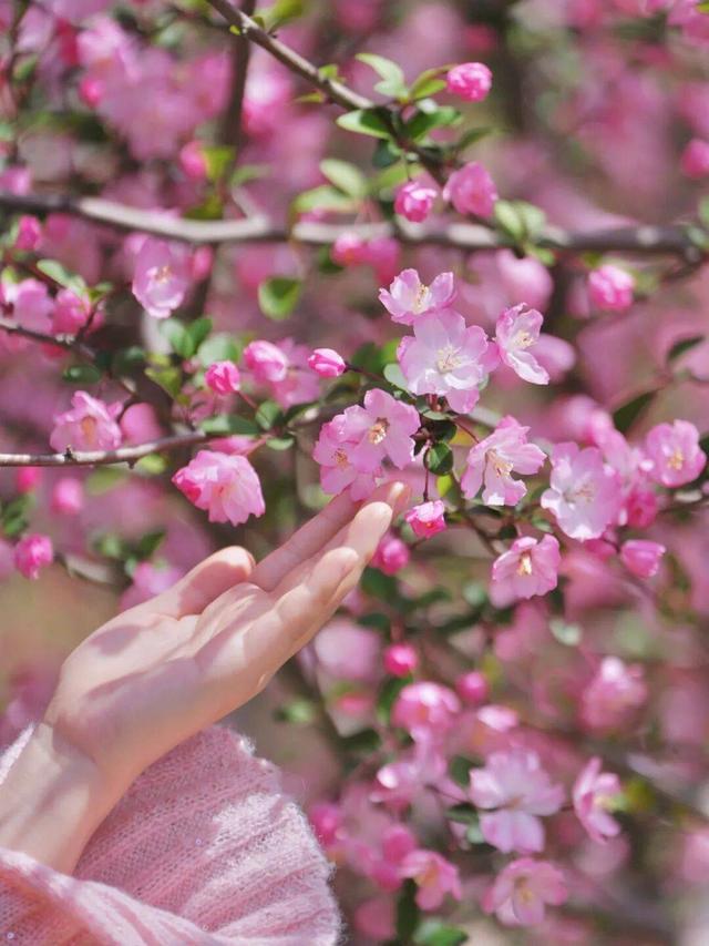 若你偏爱江南的温柔春色，就来常熟遇见美好