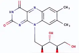 维生素B族：人体代谢的隐形守护者图片