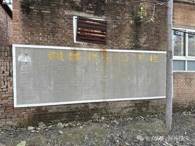 冠县乡韵·贾镇荆楼村