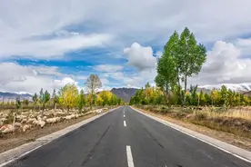 全长约98km！山西这一国道改线工程最新进展图片