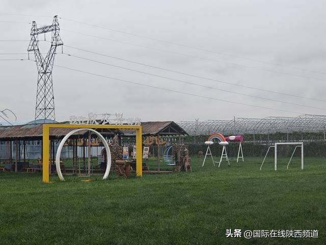 礼泉三韵：解码一座县域的文旅融合高质量发展之路