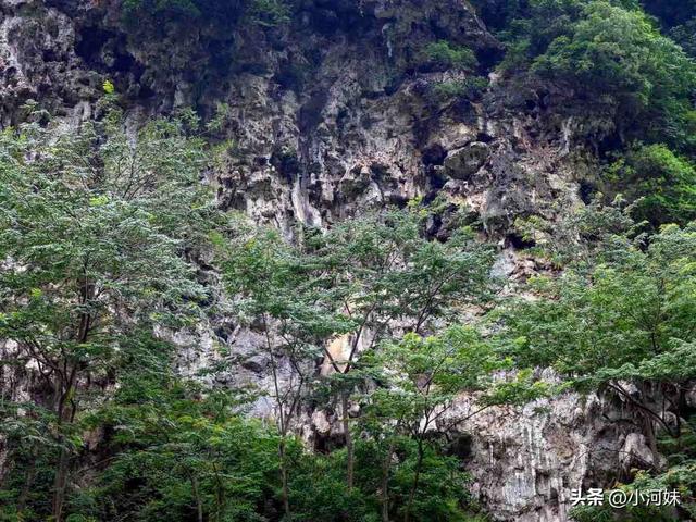 4月，你好！跟随春雨，接下来的湟川三峡是这样的→