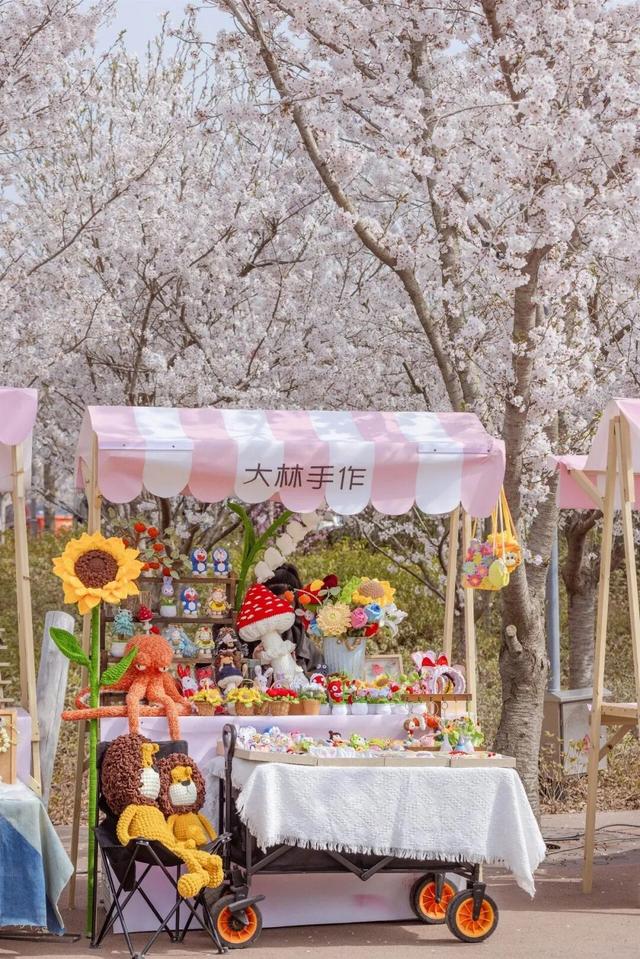 带上“一卡通”，赴一场山海相拥的春日浪漫之约