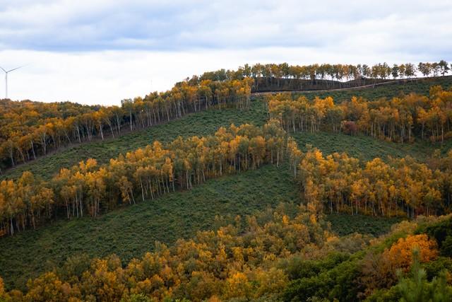 不藏了，除了草原，内蒙5个秋色仙境，最后一个颠覆你赏秋眼光！
