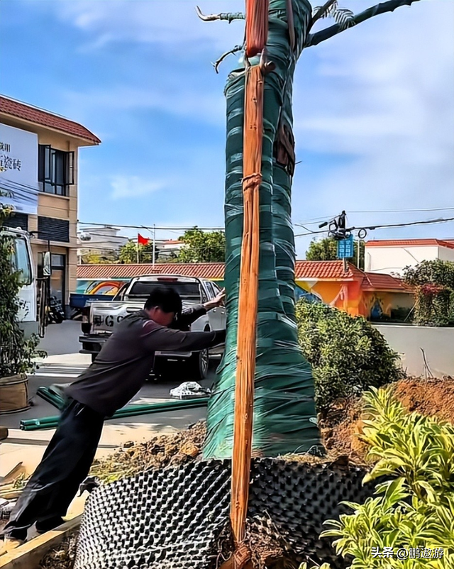 全红婵爸爸用冠军名号赚钱，把流量变成现实红利	，网友评论吵翻天