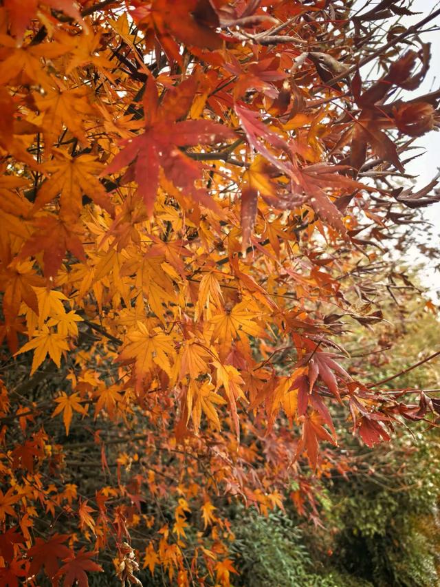 因何而徒,步履发声——徒步众生相