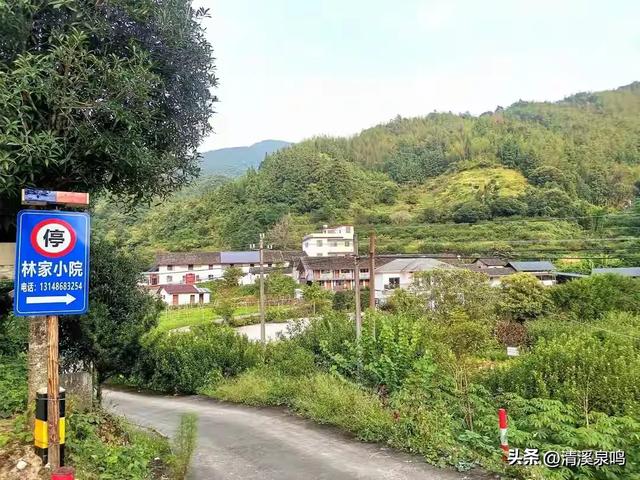 双柏连理处，情定九峰间