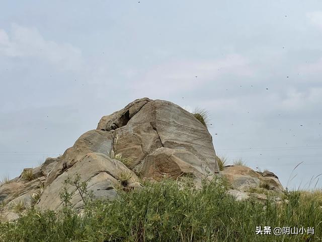 达茂旗达尔罕、百灵庙、乌克忽洞，固阳银号、忽鸡沟田野考察笔记