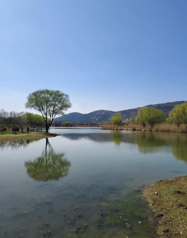 无锡又一公园火了！被称为 “苏南的西双版纳”，适合清明遛娃赏景