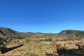 感悟〈华严经入法界品〉之智慧与慈悲图片