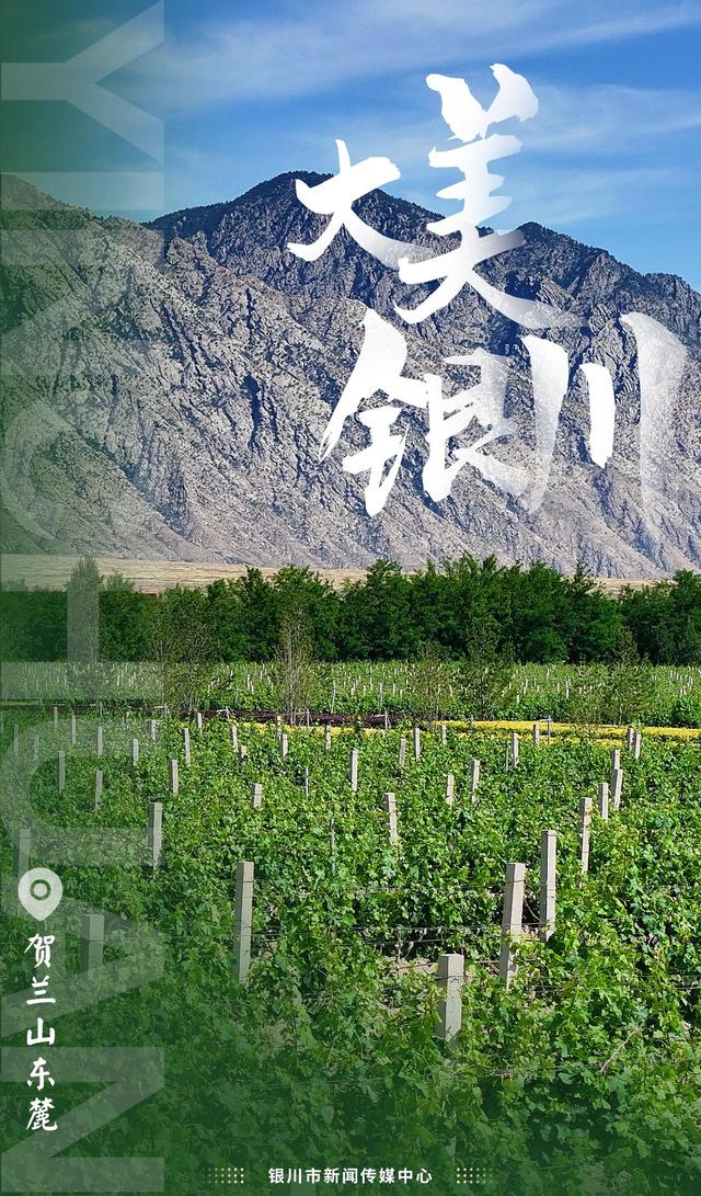 中国旅游日丨邂逅银川自然之美