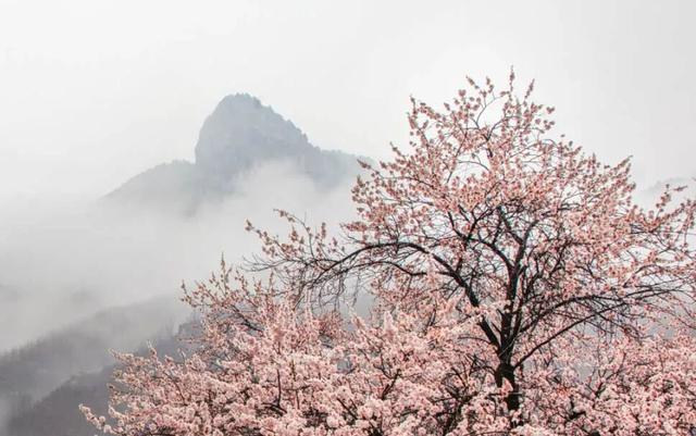 河南这些景区，向所有女士免门票