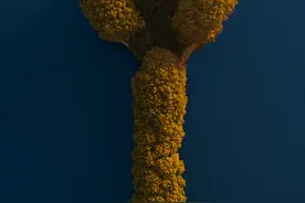 武汉东湖经典的“十八景”，去过一半就不错了图片