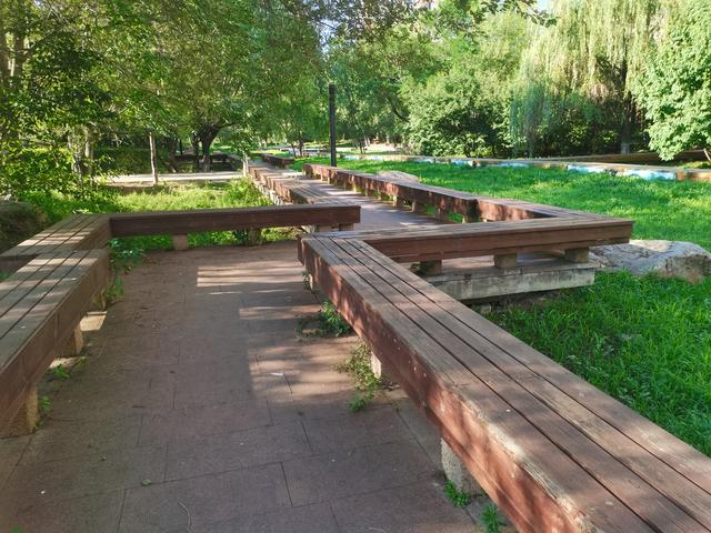 六问沈阳北塔公园空灵花海景点为何无花只有荒草