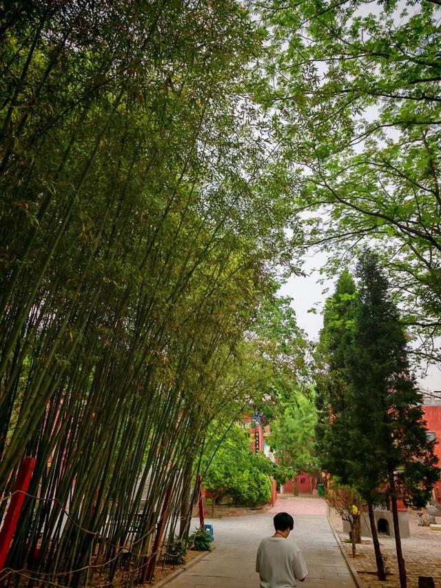 堪称洛阳第二寺，人少景美还免费，还藏着一处花海