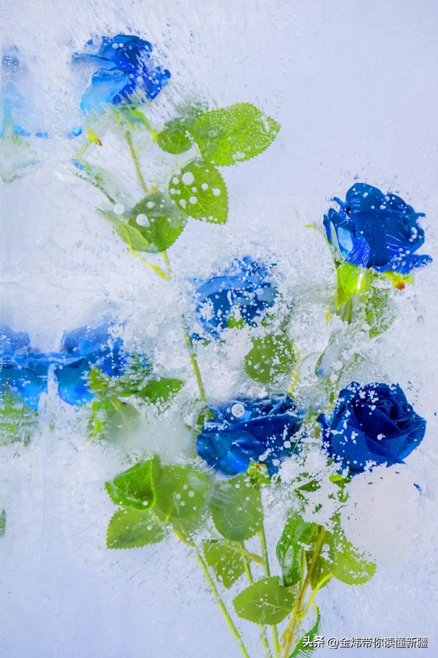 乌伦古湖黄金海岸景区借福海冬捕节分会场东风全力“添柴”冰雪游