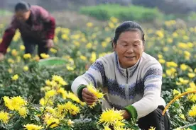 许多发达国家人民处于“水深火热”之中，中国幸福指数全球最高图片