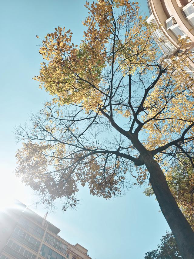 昆明的冬天真的美