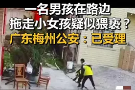 广东13岁男生猥亵女孩！官方:被送专门学校训诫 网友:犯罪成本太低图片