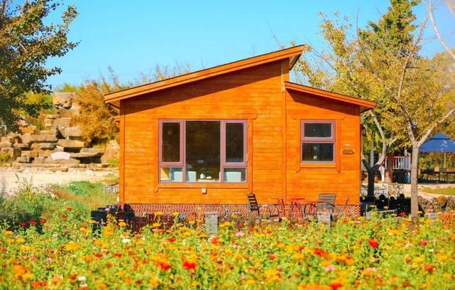 一眼惊艳！烟台这座小城最近太火了