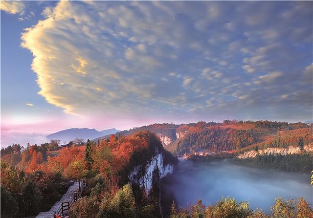【雄奇山水 冬韵武隆】彩叶织锦·山野层林映画