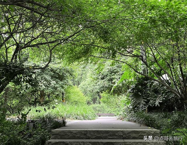 成都市内乘凉公园，风景秀美、清凉，不要门票，地铁公交可达！