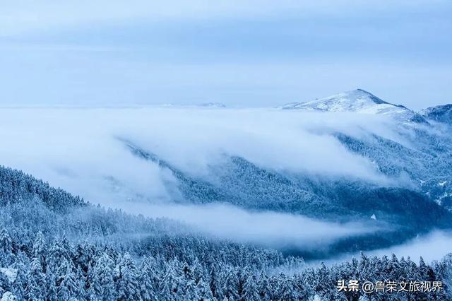 雪落神农架：解锁华中秘境的冬日仙境