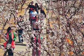 官宣！新疆这些景区推出最新优惠政策图片