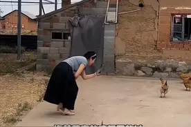 全球数学竞赛决赛今天开始，刘奔：闭卷考试，姜萍的成绩会更好！图片