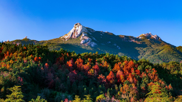 美如仙境！韶关这个地方迎来今年首场冰挂雾凇景观，秋冬来旅行，赏雪泡泉看红枫为你安排好了
