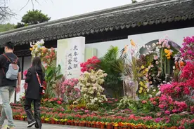 实力出圈！“五一”假期，苏州园林接待游客超72万人次图片