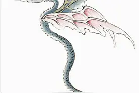 罕见！独居近10年，雌性巨蟒生下14条蛇宝宝，蛇无性也能繁殖？图片