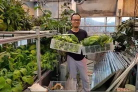 中国在南极种菜，每年过年都请老外团队“吃好的”！今年还有吗？图片