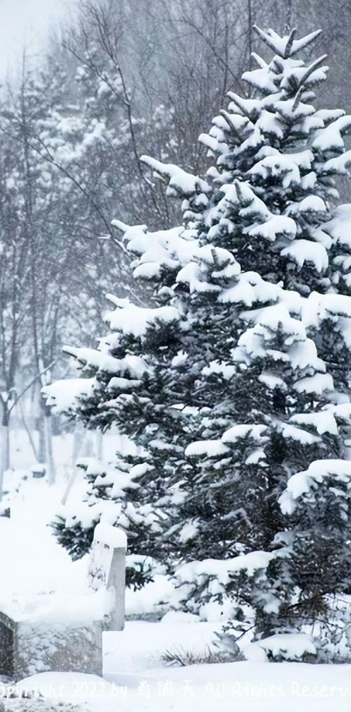 被赵立坚“点名”，长春在干什么