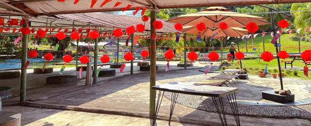 趣春游,赴一场蓝洋踏青的邀约