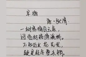 抄书打卡第2天—飞花令诗词·早梅/江梅图片