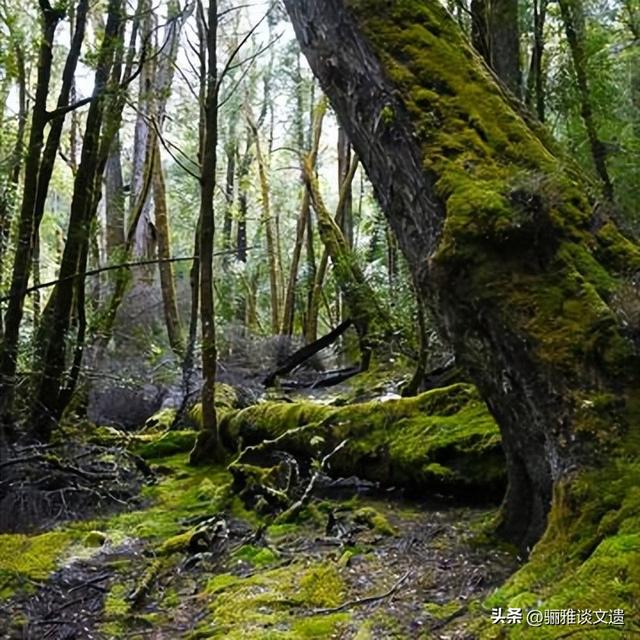 从北极万年游牧荒野，到赤道海洋湖泊群，42处世界双遗产极境之美