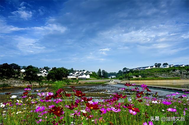 花开得正烂漫！淄博春天最诗意的山水小城，藏着你向往的乡村慢生活~