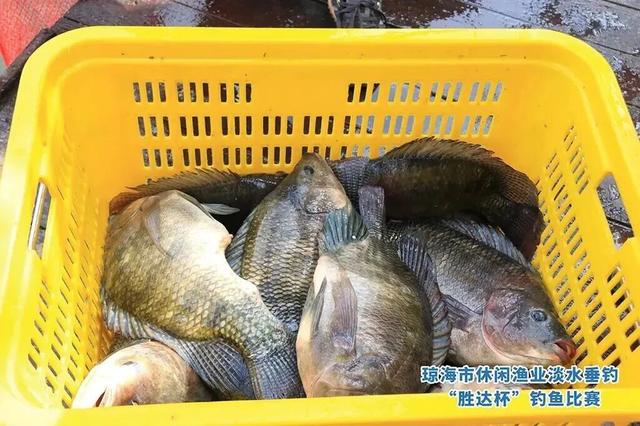 琼海元旦“嗨玩指南”来啦！