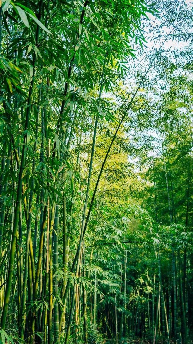推荐 │ 去赤水，把暑期剩下时间都玩“嗨”