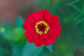 来报恩的孩子，一般有这三个特点图片