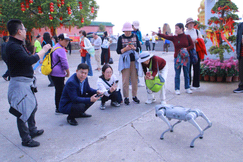 4月4日，莲花花神邂逅赛博机器人，邀您玩转观音山花朝节