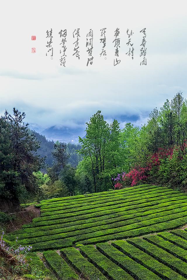 烟雨大别山，醉美望天村