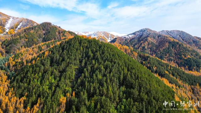 【摄影报道】秋韵未歇：张家川山水的立冬回眸