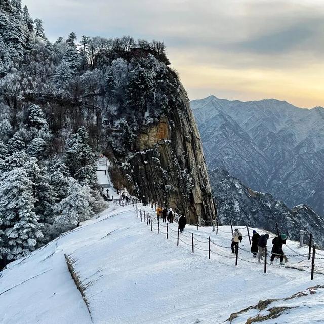 雪遇华山・福利就位｜这份优惠指南别错过